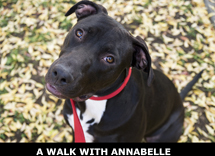 Walk with Annabelle